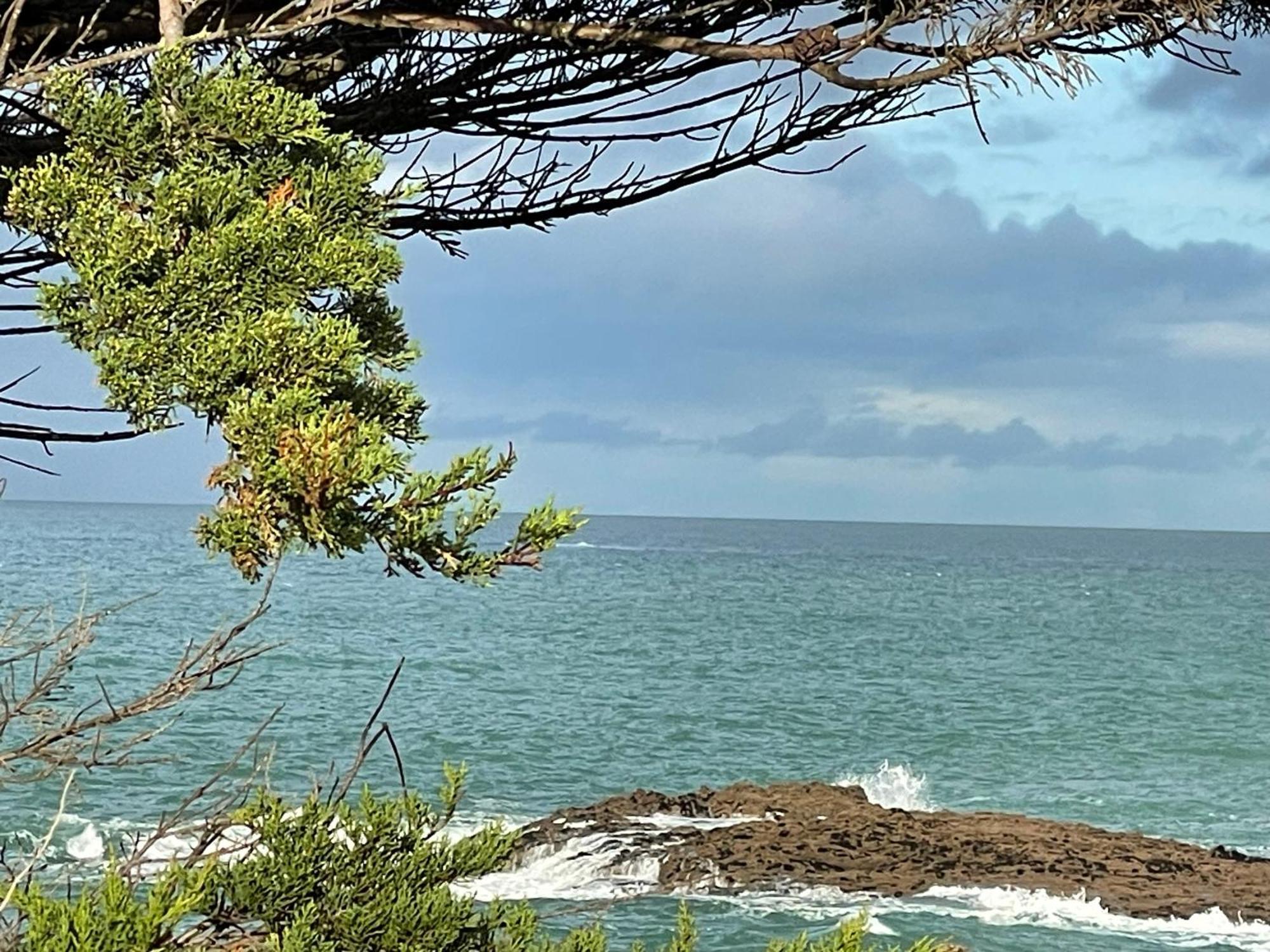 Lebraz 2 Daire Saint-Lunaire Dış mekan fotoğraf